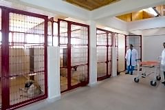 HAYVAN-BARINAKLARI-3